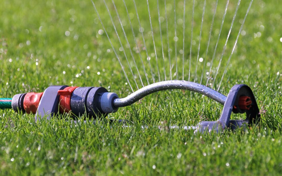 6 Top water-saving tips for the garden