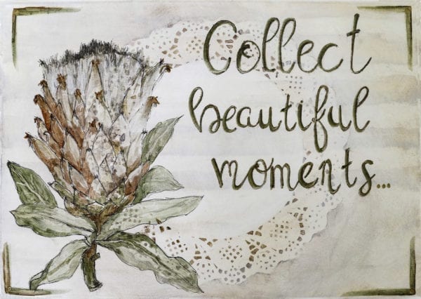 Protea Design Disposable Placemats