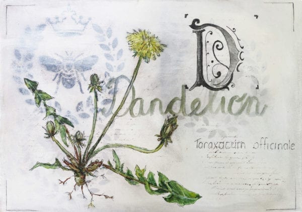Dandelion Design Disposable Placemats