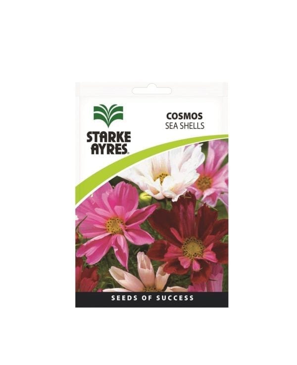 Starke Ayres - Cosmos