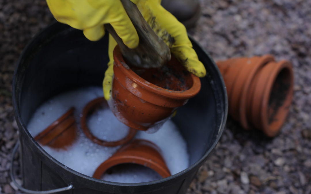 5 Winter Garden Chores To Start Now