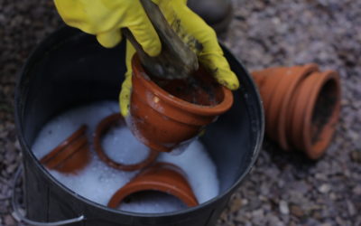 5 Winter Garden Chores To Start Now